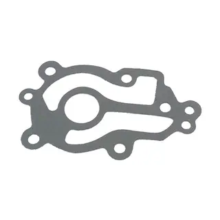 SIERRA Wear Plate Gasket (Chrysler Erst: Force), 27-828316