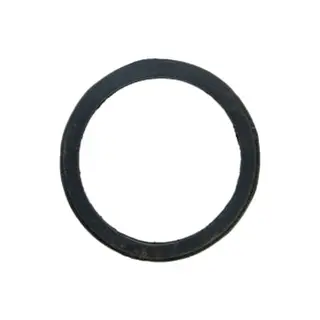 SIERRA Thermostat Seal, Erst: 25-8071341 