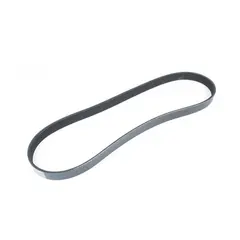 SIERRA Serpentine Belt, Erst: 17-828507 1
