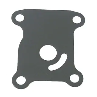 SIERRA Wear Plate (Johnson/Evinrude) Erst: 318995