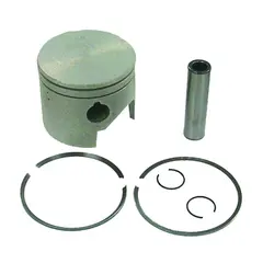 SIERRA Stempel Std (Johnson/Evinrude) Erst: 394461