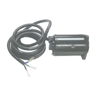 SIERRA Tilt/Trim Motor Erst: 387277 (Johnson/Evinrude)