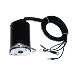 SIERRA Tilt/Trim Motor (Yamaha), Erst: 61A-43880-02-00