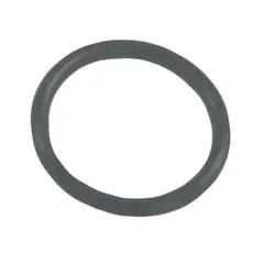 SIERRA O-Ring (OMC/Cobra), Erst: 302493
