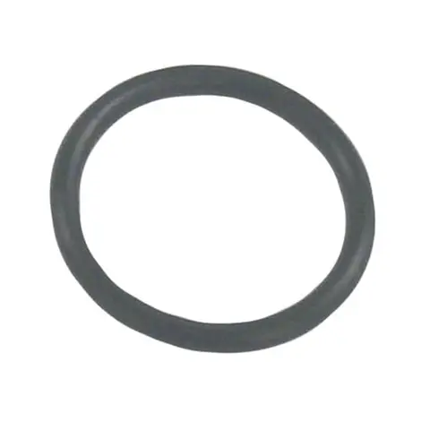 SIERRA O-Ring (OMC/Cobra), Erst: 302493 