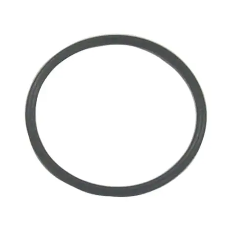SIERRA O-Ring (Johnson/Evinrude), Erst: 313340 