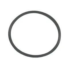 SIERRA O-Ring (OMC/Cobra), Erst: 313754