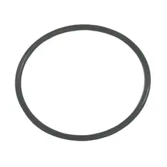 SIERRA O-Ring (OMC/Cobra)