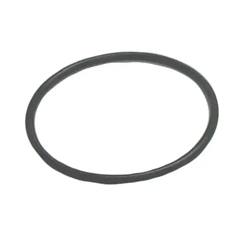 SIERRA O-Ring (Johnson/Evinrude) 