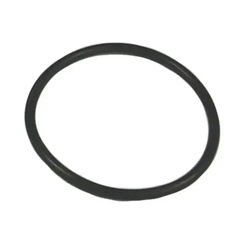 SIERRA O-Ring, Erst: 25-29976 