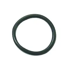 SIERRA O-Ring (Chrysler Force), Erst: 25-45258
