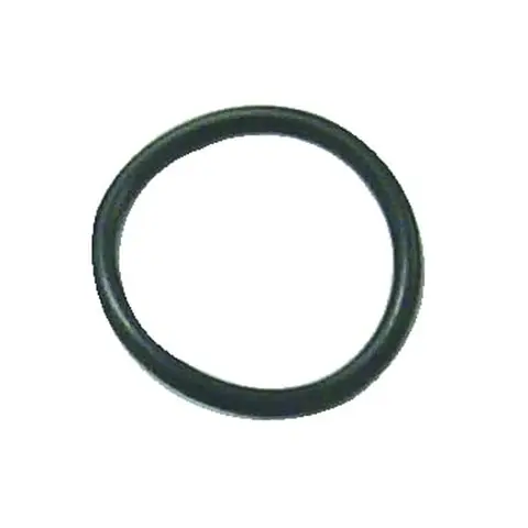 SIERRA O-Ring (Chrysler Force), Erst: 25-45258 