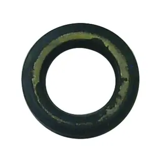 SIERRA Olje tettning (Suzuki), Erst: 09289-22007