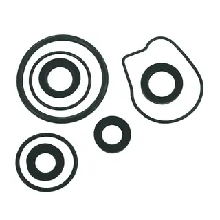 SIERRA Lower Unit Seal Kit