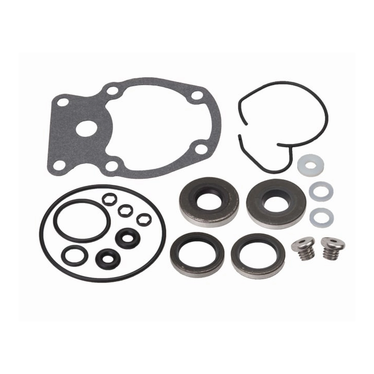 SIERRA Girhus tettning til E-Tec 15-30 BRP 5007987FOR: E-TEC 15, 25, 30 (2010 ;