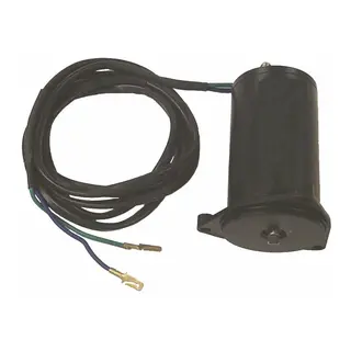 Powertrim motor brp ph200-t014 Tilt/Trim Motor (Johnson/Evinrude)