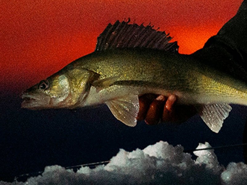 Ekkolodd GARMIN Striker™ Plus 4isfiskepakke 0100187031