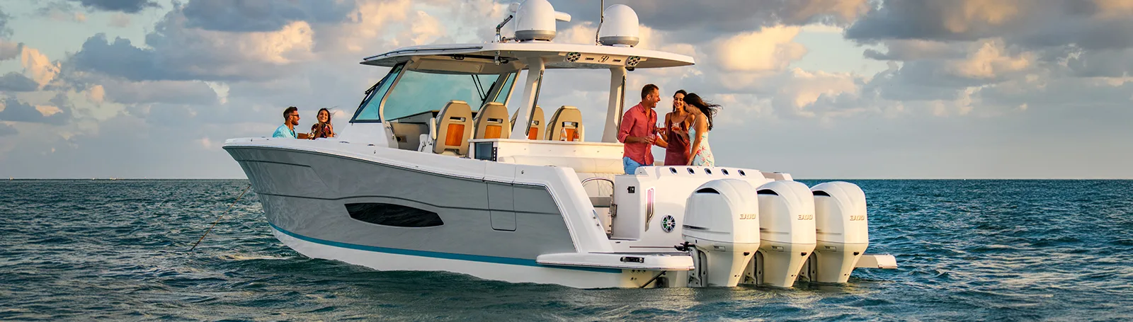 Accessory FUSION MSNRX50 Ekstern volumkontroller 0100413800