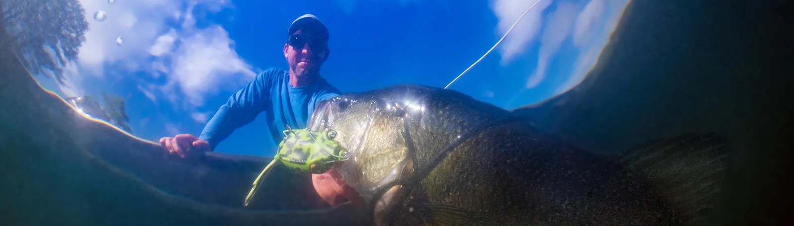 Svingere Givere GARMIN GT56UHDTM UHD Hekksvinger 350W CHIRP HighWide DowVü SideVü 0101307300