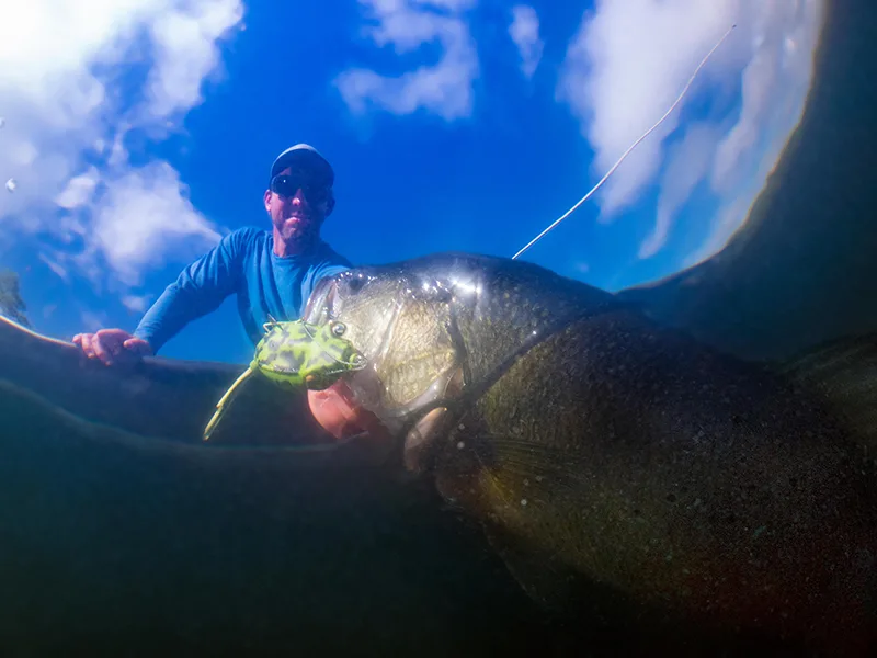 Svingere Givere GARMIN GT56UHDTM UHD Hekksvinger 350W CHIRP HighWide DowVü SideVü 0101307300