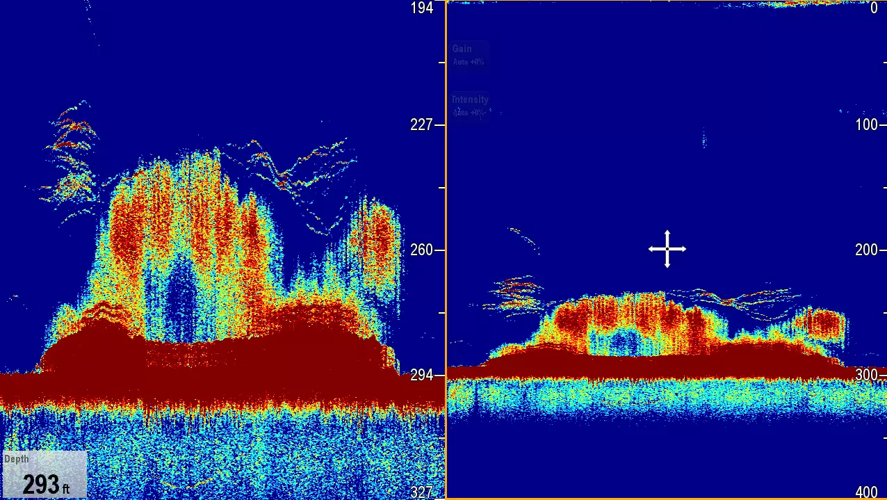 Fiske og ekkoloddmoduler RAYMARINE Cp570 ekkoloddmodul 268