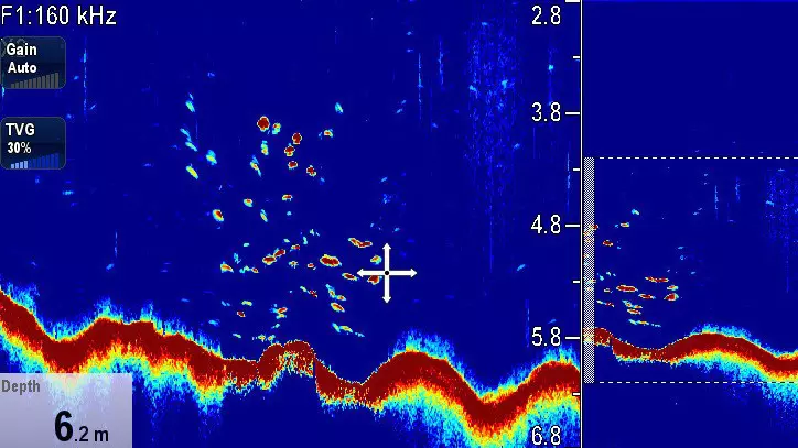 Fiske og ekkoloddmoduler RAYMARINE Cp570 ekkoloddmodul 268