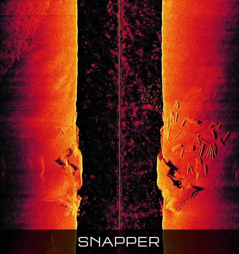 Ekkoloddmodul RAYMARINE RVM1600 3D Chirp Sonar Module E70665