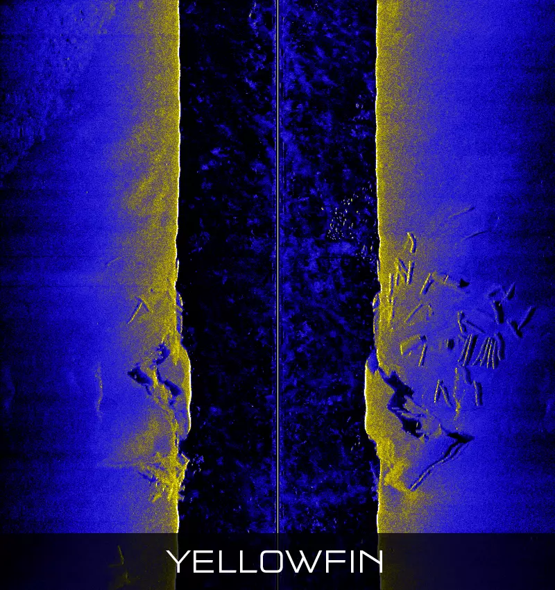 Ekkoloddmodul RAYMARINE RVM1600 3D Chirp Sonar Module E70665