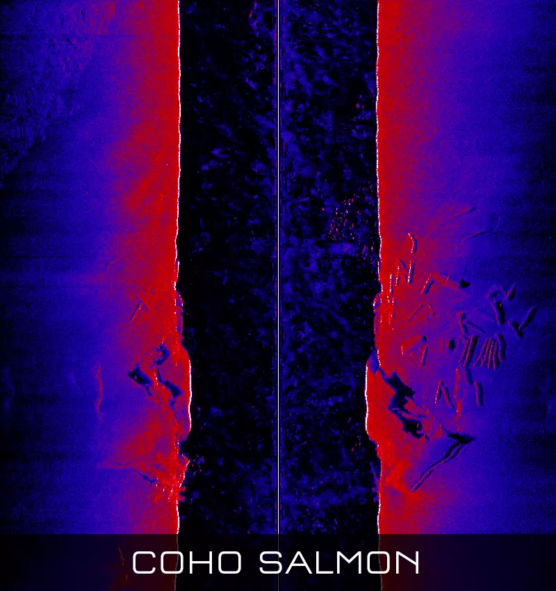 Ekkoloddmodul RAYMARINE RVM1600 3D Chirp Sonar Module E70665