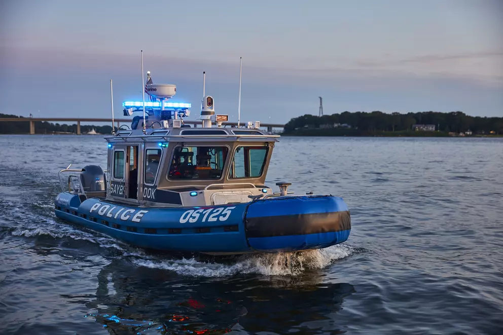 Radar RAYMARINE RD418HD Color 45cm 4kW leveres uten kabel E92142